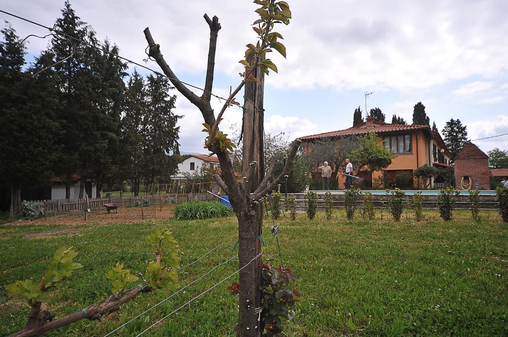 Artenatura Beb Terranuova Bracciolini Exterior photo
